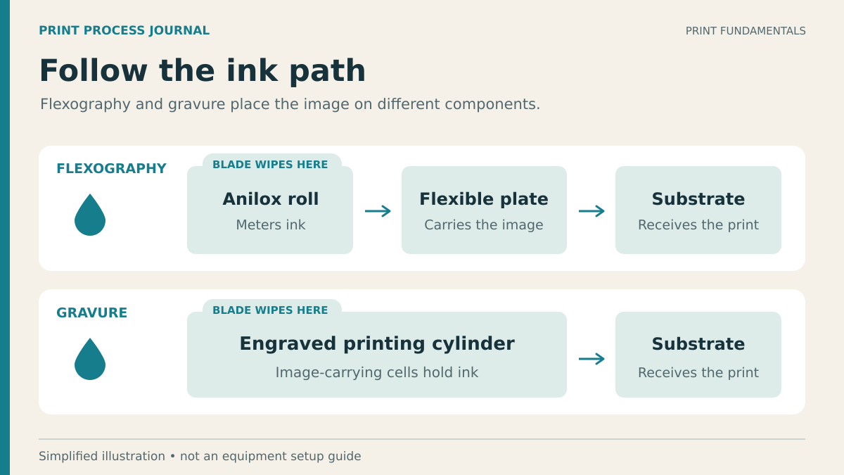 The Small Blade Behind Consistent Print: Doctoring Explained